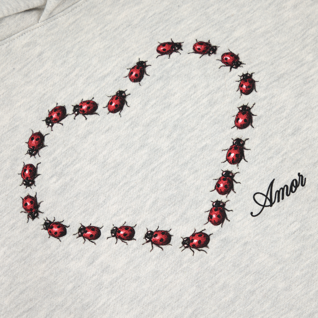 ladybug hoodie