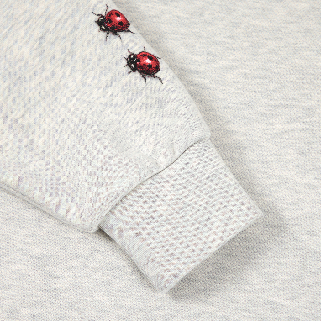 ladybug hoodie